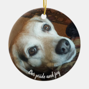 Anpassningsbar Pet Photo 2-sidigt Pride och Joy Julgransprydnad Keramik