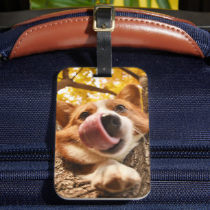 Anpassningsbar Pet Photo Bagagebricka