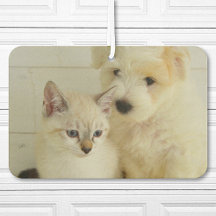 Anpassningsbar Pet Photo Car