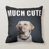 Anpassningsbar Pet Photo Funny Mycket Cute Meme St