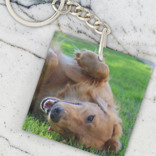 Anpassningsbar Pet Photo Keychain