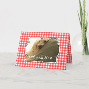 Anpassningsbar Pet Photo Land Red Buffalo Checking Kort