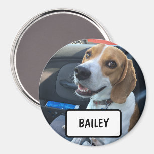 Anpassningsbar Pet Photo Magnet