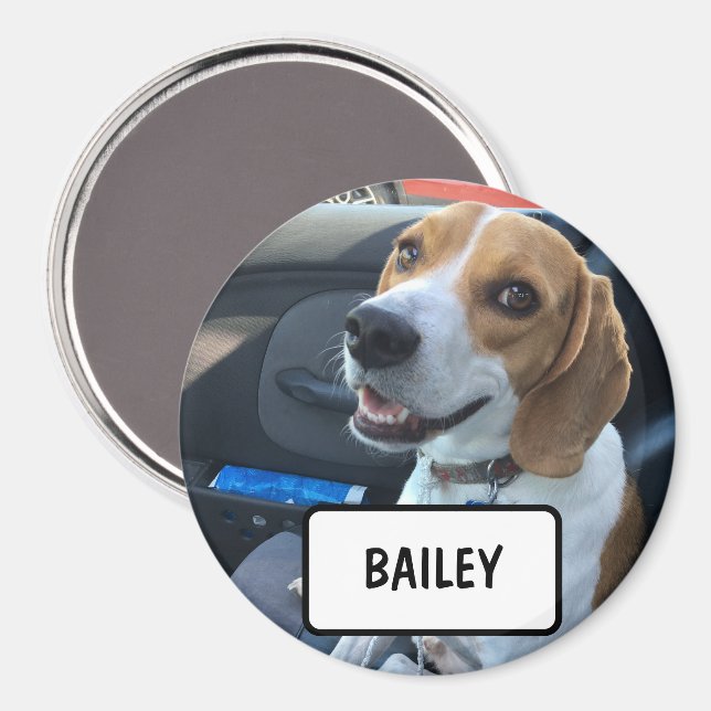 Anpassningsbar Pet Photo Magnet (Front/Back)