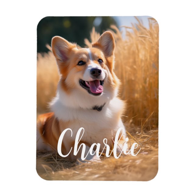 Anpassningsbar Pet Photo med Namn Magnet (Vertikal)