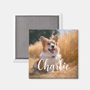 Anpassningsbar Pet Photo med Namn Magnet