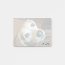 Anpassningsbar Pet Photo Modern Trendig Script Typ