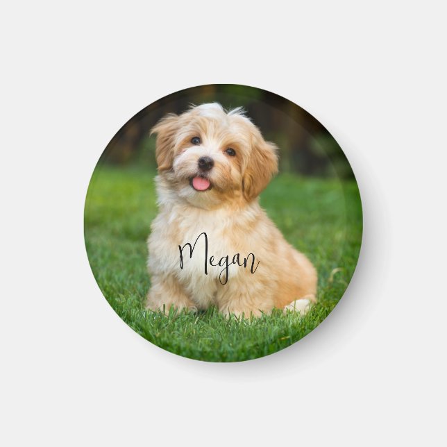 Anpassningsbar Pet Photo Namn Magnet (Framsidan)