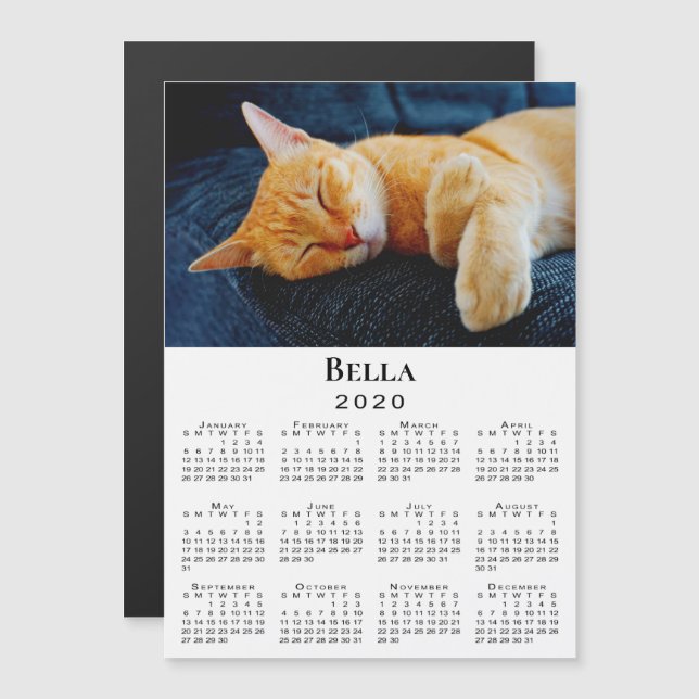 Anpassningsbar Pet Photo och Namn 2020 Calendar (Fram/baksida)