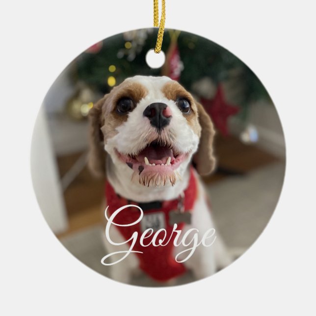 Anpassningsbar Pet Photo Ornament (Framsidan)
