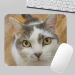 Anpassningsbar Pet Photo Personlig Mousepad Musmatta<br><div class="desc">Ladda upp fotot och skapa en personlig muspekare. Du kan ÖVERFÖRA DESIGN på andra Zazzle-produkter och justera den så att den passar de flesta Zazzle-objekt. Du kan också klicka på knappen CUSTOMIZE för att lägga till, ta bort eller ändra information som bakgrundsbild färg, text, teckensnitt eller vissa bilder. StandardStudio-design görs...</div>