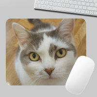 Anpassningsbar Pet Photo Personlig Mousepad