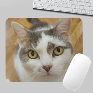 Anpassningsbar Pet Photo Personlig Mousepad Musmatta