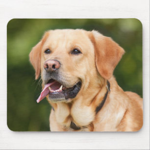 Anpassningsbar Pet Photo Personlig Musmatta
