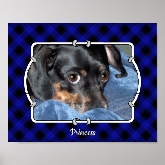 Anpassningsbar Pet Photo Ram Classic Blue & Black  Poster (Framsidan)
