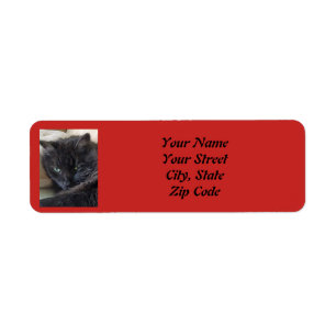 Anpassningsbar Pet Photo Returadress Etikett