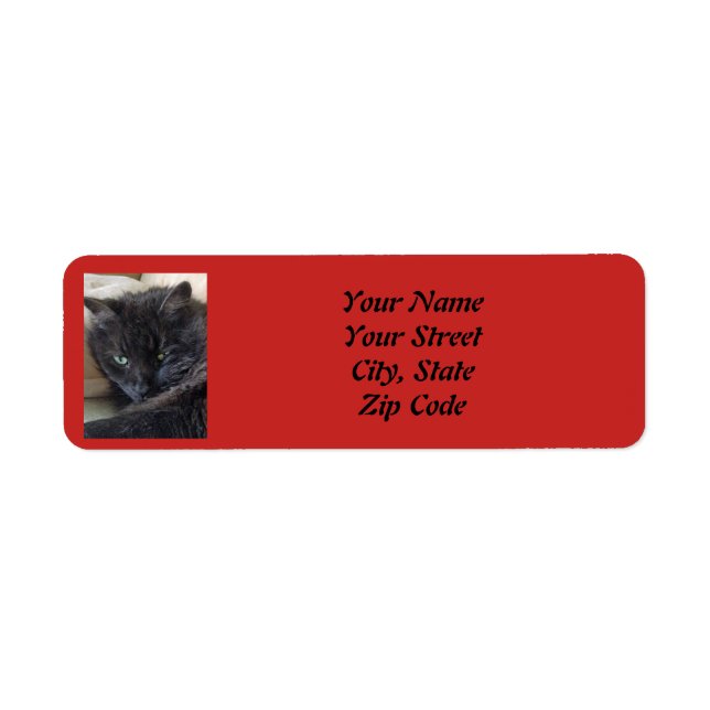 Anpassningsbar Pet Photo Returadress Etikett (Framsidan)