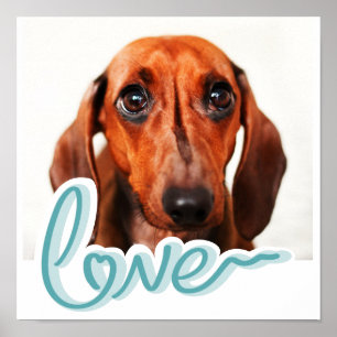 Anpassningsbar Pet Poster med modern Blue Typograf