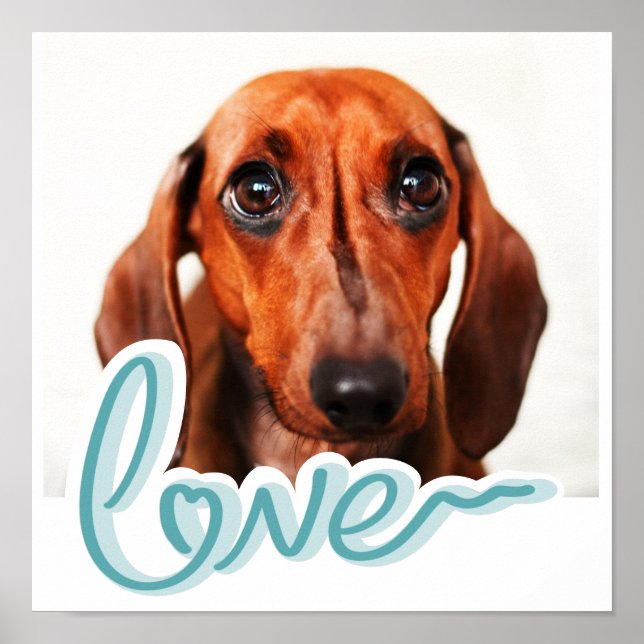 Anpassningsbar Pet Poster med modern Blue Typograf (Framsidan)