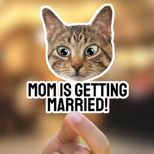 Anpassningsbar Pet Sticker Cat Ansikte Stickers Klistermärken