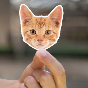 Anpassningsbar Pet Stickers Anpassningsbar Cat Sti Klistermärken