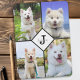 Anpassningsbar Photo Collage Hund Pet Cat Monogram iPad Air Skydd (Skapare uppladdad)