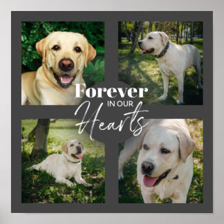 Anpassningsbar Photo Collage Pet Memorial Poster