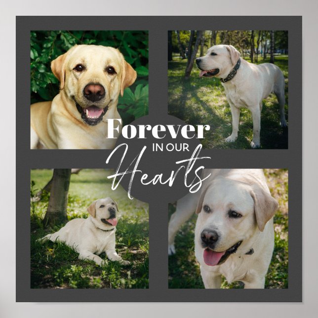 Anpassningsbar Photo Collage Pet Memorial Poster (Framsidan)