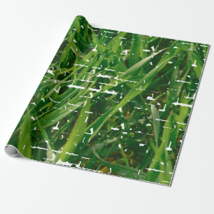 Anpassningsbar Photo Gräsmatta Care - tack! - Presentpapper