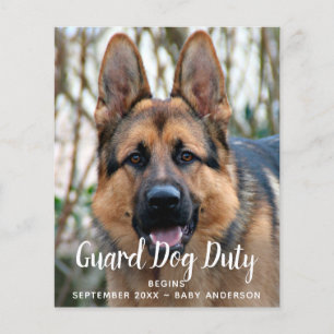 Anpassningsbar Photo Guard Hund Duty Gravid Notice