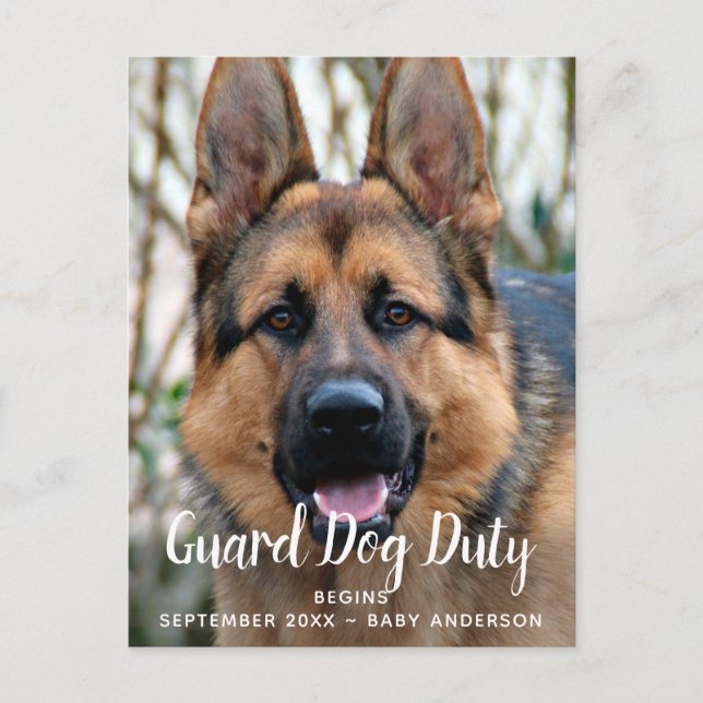 Anpassningsbar Photo Guard Hund Duty Gravid Notice Meddelande Vykort (Framsida)