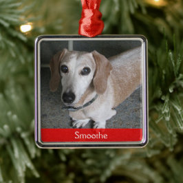 Anpassningsbar Photo Hund Ornament
