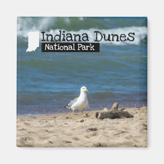Anpassningsbar Photo - Indiana Dunes nationalpark Magnet