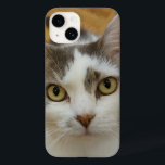 Anpassningsbar Photo iPhone 12 Fodral-Mate Telefon<br><div class="desc">Ladda upp ett foto och skapa enkelt personligens foto iphone case. Du kan ÖVERFÖRA DESIGN på andra Zazzle-produkter och justera den så att den passar de flesta Zazzle-objekt. Du kan också klicka på ANPASSA YTTERLIGARE om du vill lägga till, ta bort eller ändra information som bakgrundsbild färg, text, teckensnitt eller...</div>