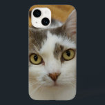 Anpassningsbar Photo iPhone 12 Fodral-Mate Telefon<br><div class="desc">Ladda upp ett foto och skapa enkelt personligens foto iphone case. Du kan ÖVERFÖRA DESIGN på andra Zazzle-produkter och justera den så att den passar de flesta Zazzle-objekt. Du kan också klicka på ANPASSA YTTERLIGARE om du vill lägga till, ta bort eller ändra information som bakgrundsbild färg, text, teckensnitt eller...</div>
