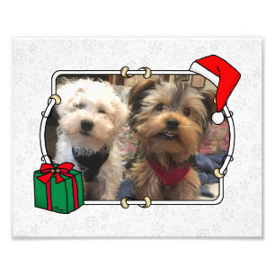 Anpassningsbar Photo jul Santa Hat Pet HO HO HO Fototryck