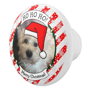 Anpassningsbar Photo jul Santa Hat Pet HO HO HO Knopp