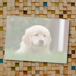 Anpassningsbar Photo | Konvertera automatiskt bild Post-it Block