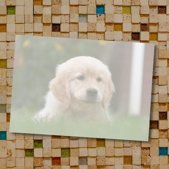 Anpassningsbar Photo | Konvertera automatiskt bild Post-it Block (Skapare uppladdad)