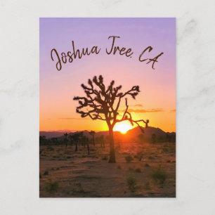 Anpassningsbar Photo Lila Orange Joshua Träd Sunse Vykort
