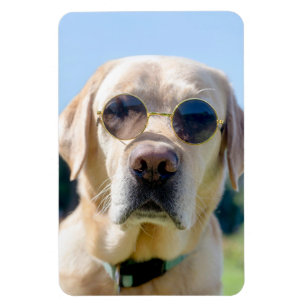 Anpassningsbar Photo Magnet