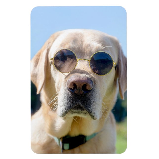 Anpassningsbar Photo Magnet (Vertikal)