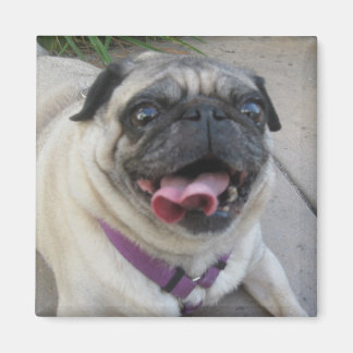 Anpassningsbar Photo Magnets Magnet