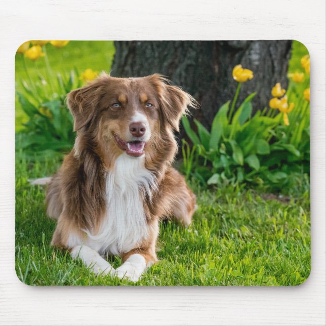 Anpassningsbar Photo Musmatta (Framsidan)