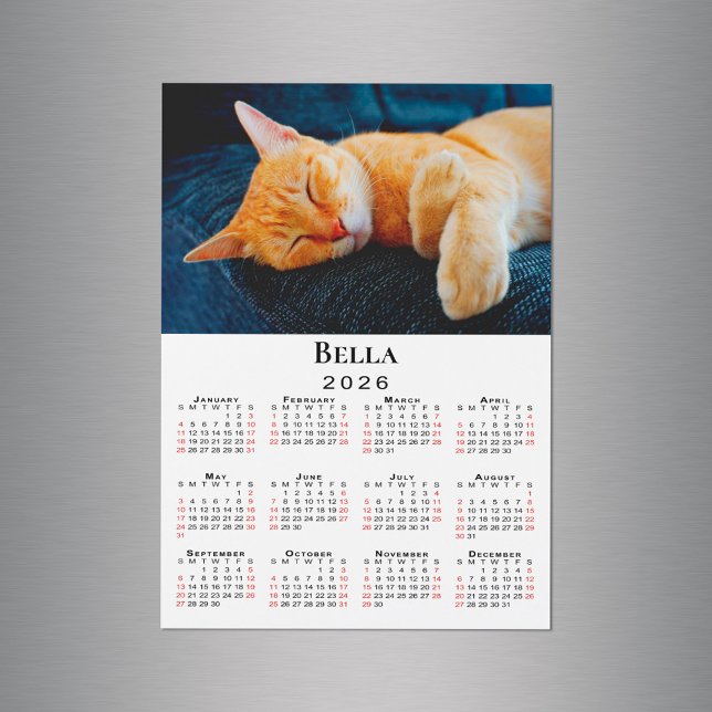 Anpassningsbar Photo Namn 2026 Calendar Magnet (Custom Photo Name 2026 Calendar Magnet in situ)
