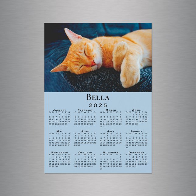 Anpassningsbar Photo Namn Light Blue 2025 Calendar (Custom Photo Name Light Blue 2025 Calendar Magnet in situ)