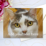 Anpassningsbar Photo och Namn Personlig Vykort<br><div class="desc">Ladda upp ett foto, lägg till en namn eller text och skapa personligens vykort enkelt. Klicka på ANPASSA om du vill ändra texten färg. Du kan ÖVERFÖRA DESIGN på andra Zazzle-produkter och justera den så att den passar de flesta Zazzle-objekt. StandardStudio-design görs i vektorgrafik med hög upplösning för utskrift av...</div>