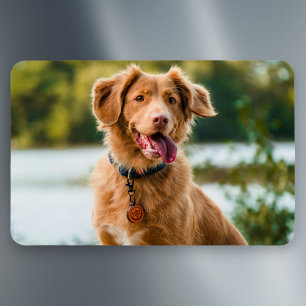 Anpassningsbar Photo Personlig Bild Magnet