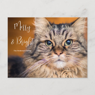 Anpassningsbar Photo Pet Merry och Bright Helgdag Helg Vykort