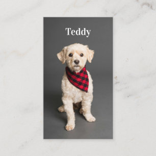 Anpassningsbar Photo Pet Puppy Hund Media QR-kod Visitkort
